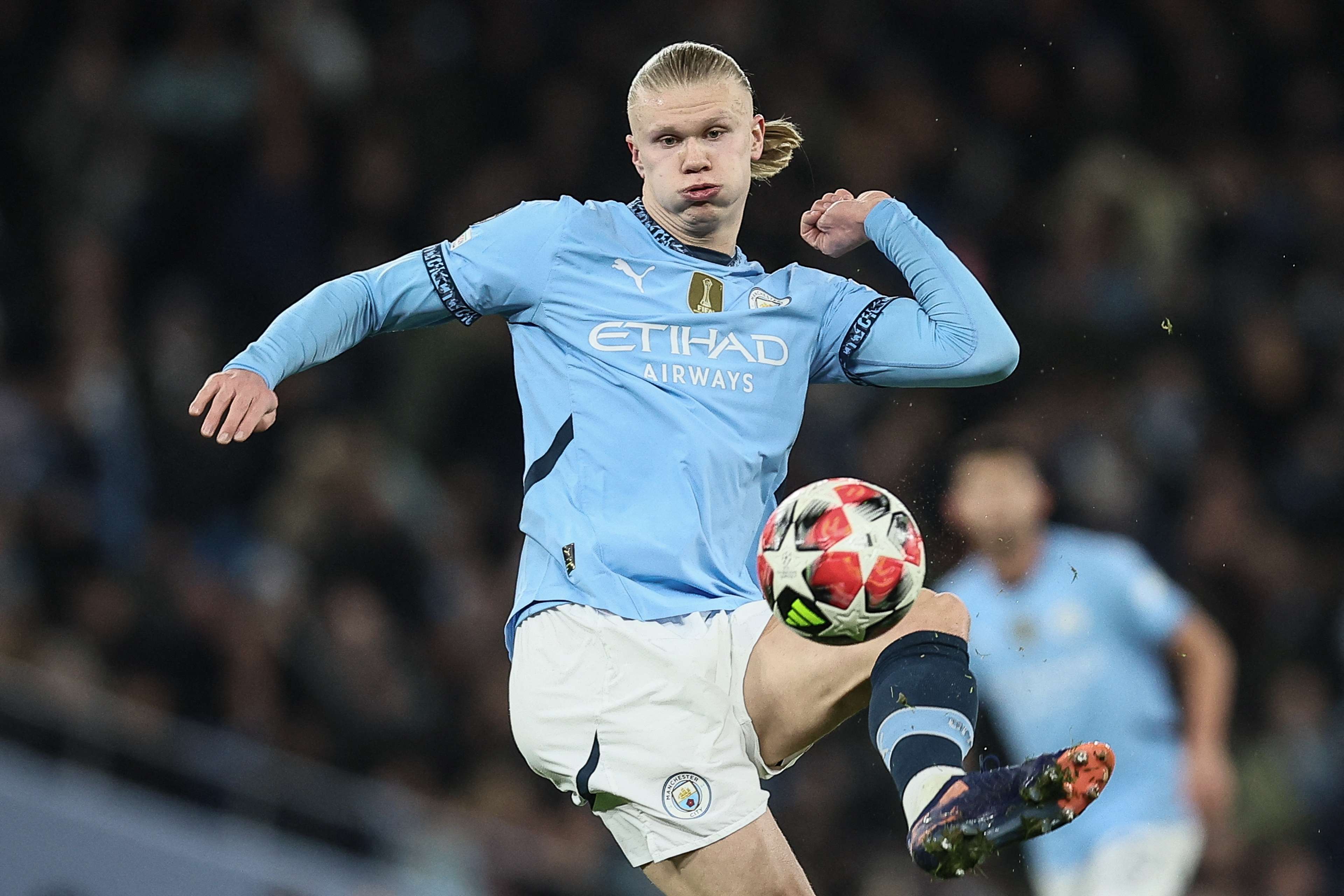 公平的证券 公平的证券