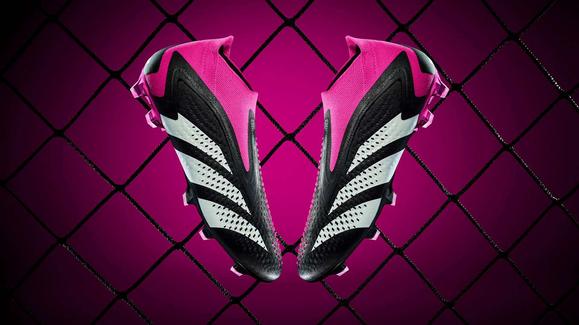 文班特别强 文班特别强